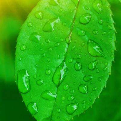 星空体育APPapp下载